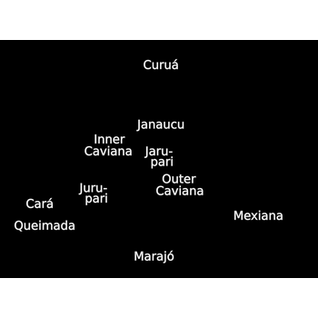 Amazon delta islands Logo PNG