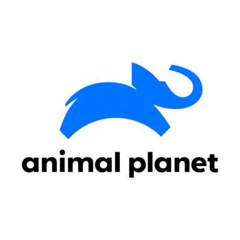 Animal Planet Logo PNG Transparent