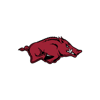 Arkansas Razorbacks Logo PNG