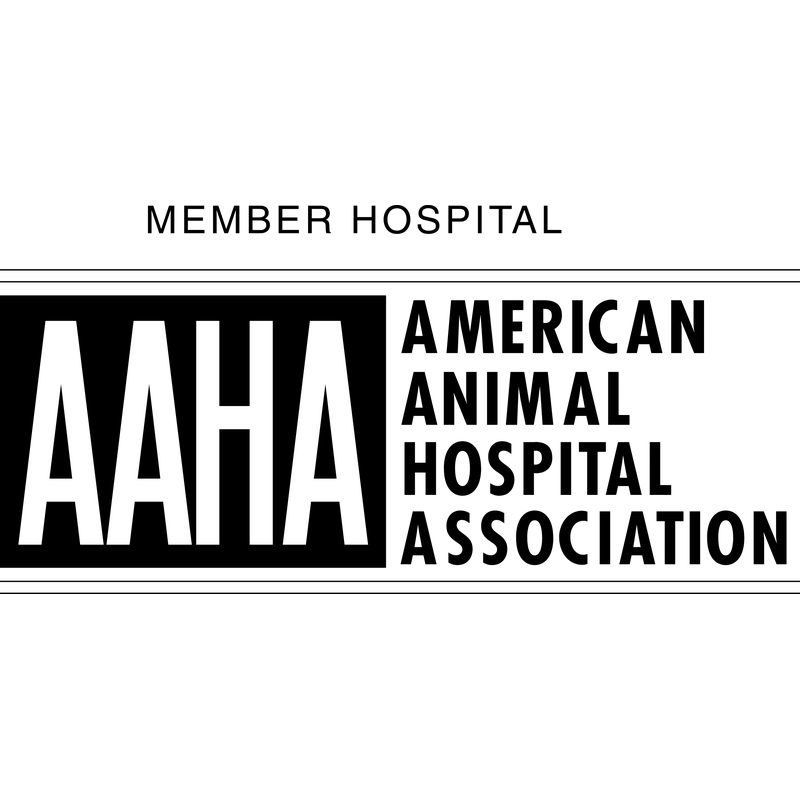 Aaha Logo PNG Vector  PNG