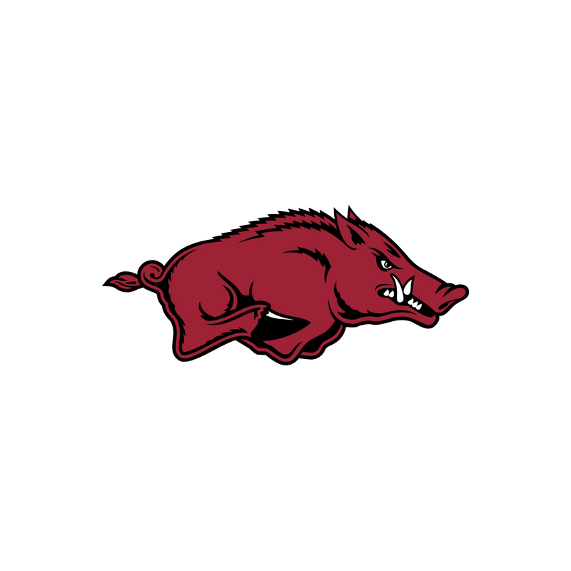 Arkansas Razorbacks Logo PNG Vector  PNG