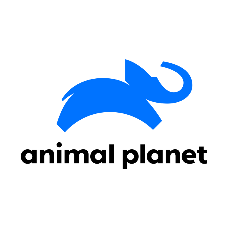 Download Animal Planet Logo PNG Transparent Background