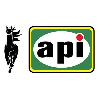 Api Logo PNG