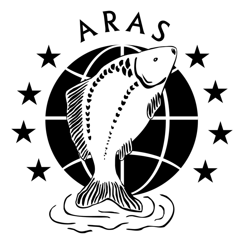 Aras Logo PNG Vector  PNG