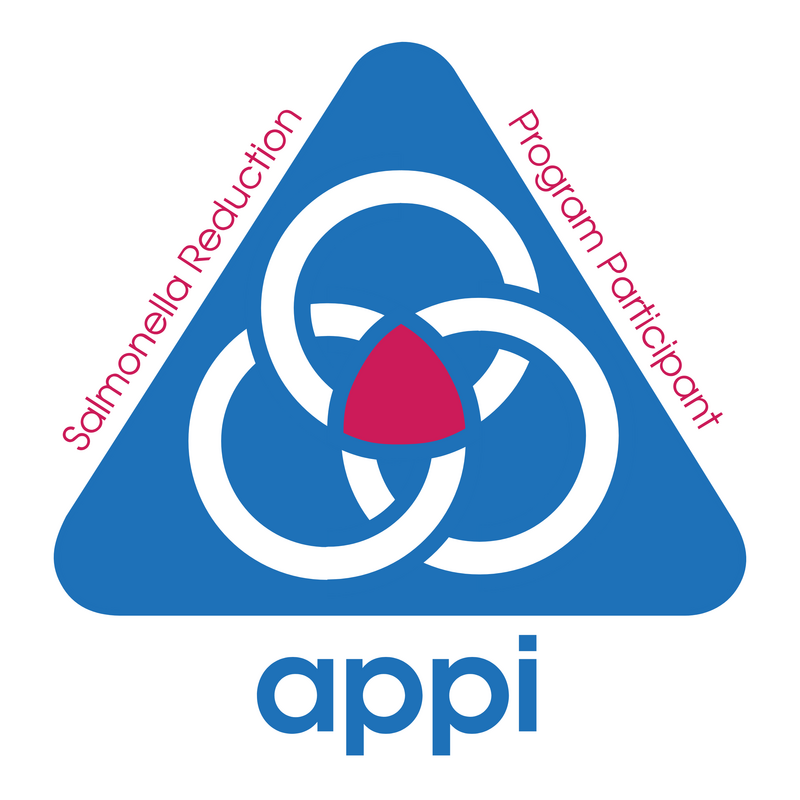 Appi Logo PNG Vector  PNG