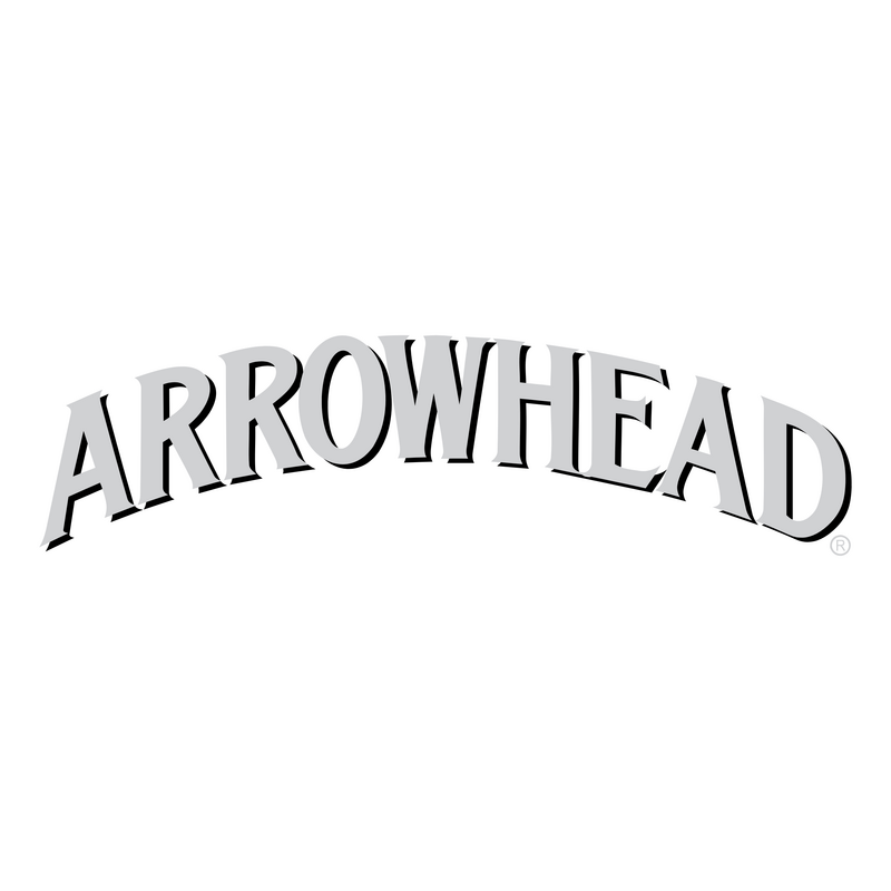Arrowhead Logo PNG Vector  PNG