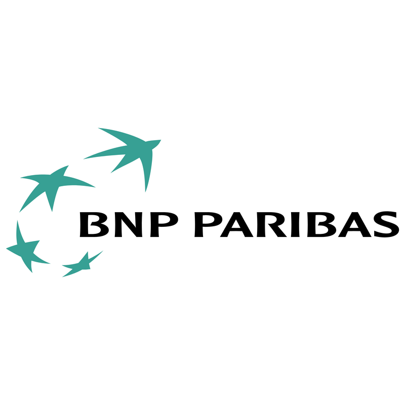 BNP Paribas Logo PNG Vector  PNG