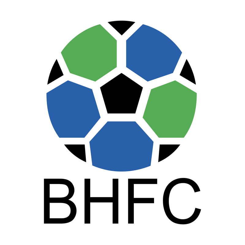 Belo Horizonte Futebol Clube De Belo Horizonte Mg Logo PNG Vector  PNG