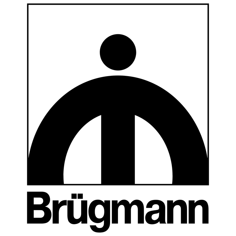 Brugmann Logo PNG Vector, Icon Transparent