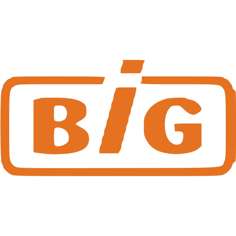 BIG Logo PNG Vector  PNG