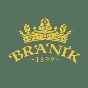 Branik Logo PNG Transparant