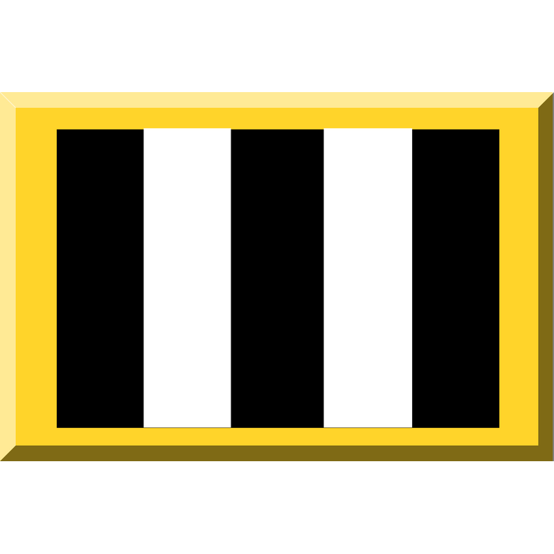 Bianco e Nero Logo PNG Vector  PNG