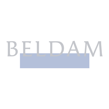 Beldam Logo PNG