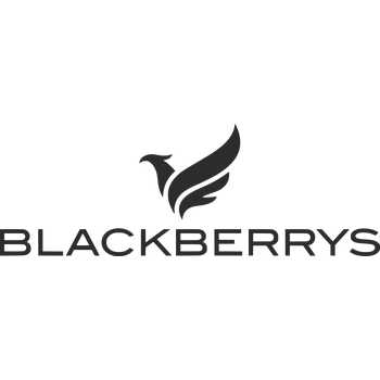 Blackberrys Logo PNG Transparent