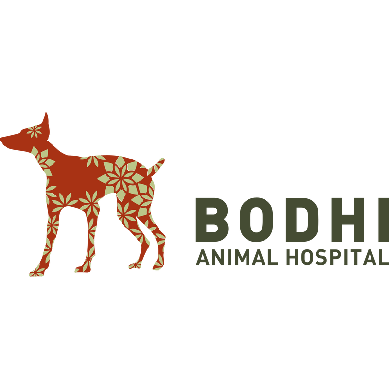 Bodhi Animal Hospital Logo PNG Vector  PNG