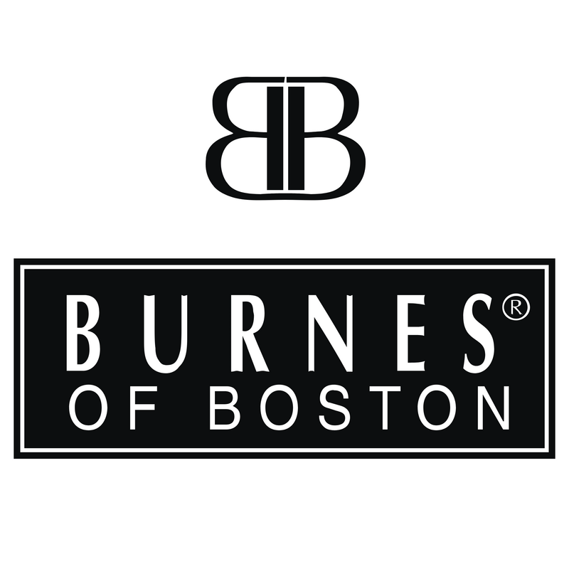 Burnes Of Boston Logo PNG Vector, Icon Transparent