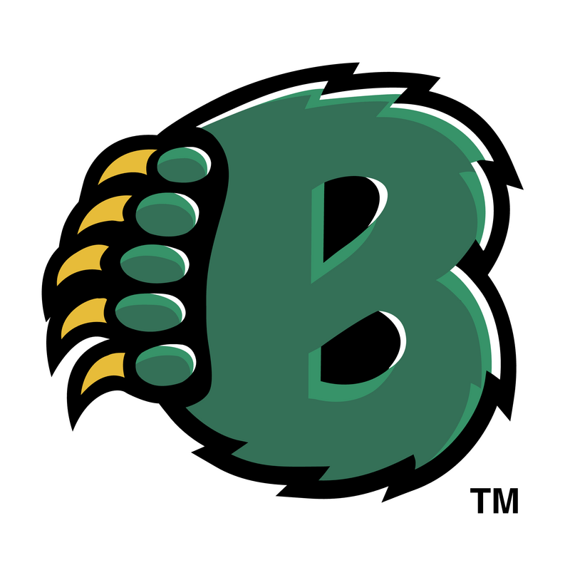 Baylor Bears Logo PNG Vector  PNG