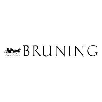 Bruninng Logo PNG