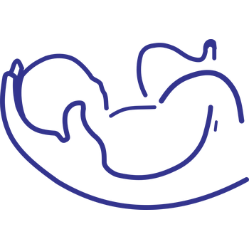 Baby Logo PNG