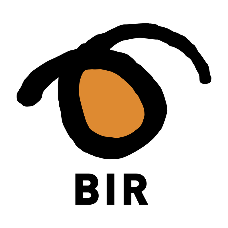 BIR Logo PNG Vector  PNG