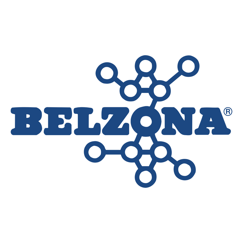 Belzona Logo PNG Vector  PNG