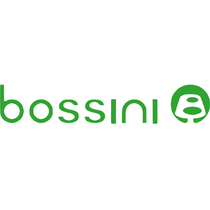 Bossini Λογότυπο PNG Vector  PNG