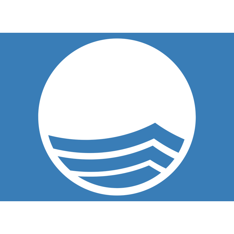 Blue Flag Logo PNG Vector  PNG