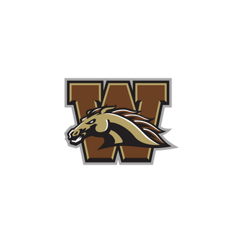 Broncos Logo PNG Průhledné