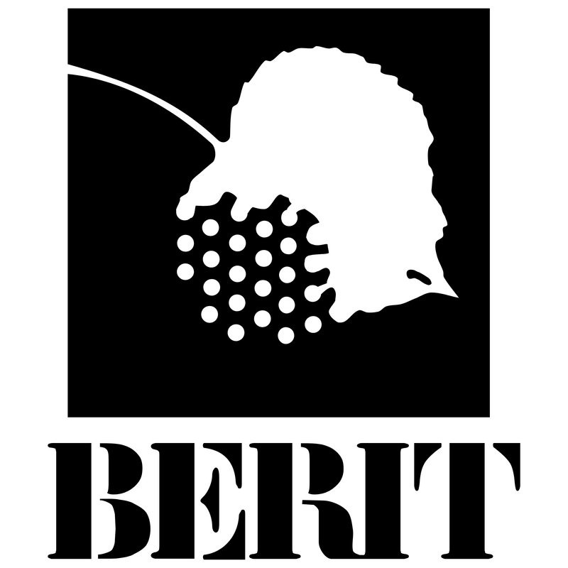Berit Logo PNG Vector  PNG