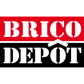 Bricodepot Logo PNG