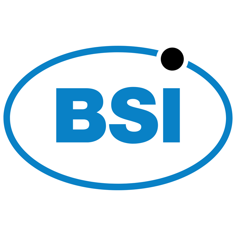 BSI Logo PNG Vector  PNG