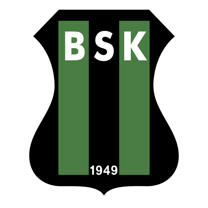 Bakirkoyspor Logo PNG Vector  PNG