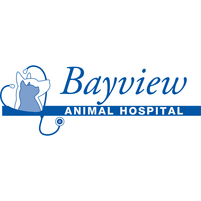Bayview Animal Hospital Logo PNG Vector  PNG