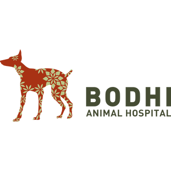 Bodhi Animal Hospital Logo PNG