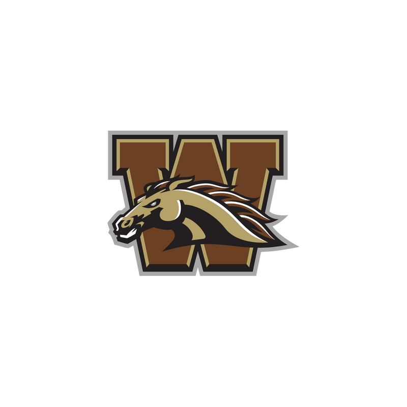 Broncos 标志 PNG Vector  PNG