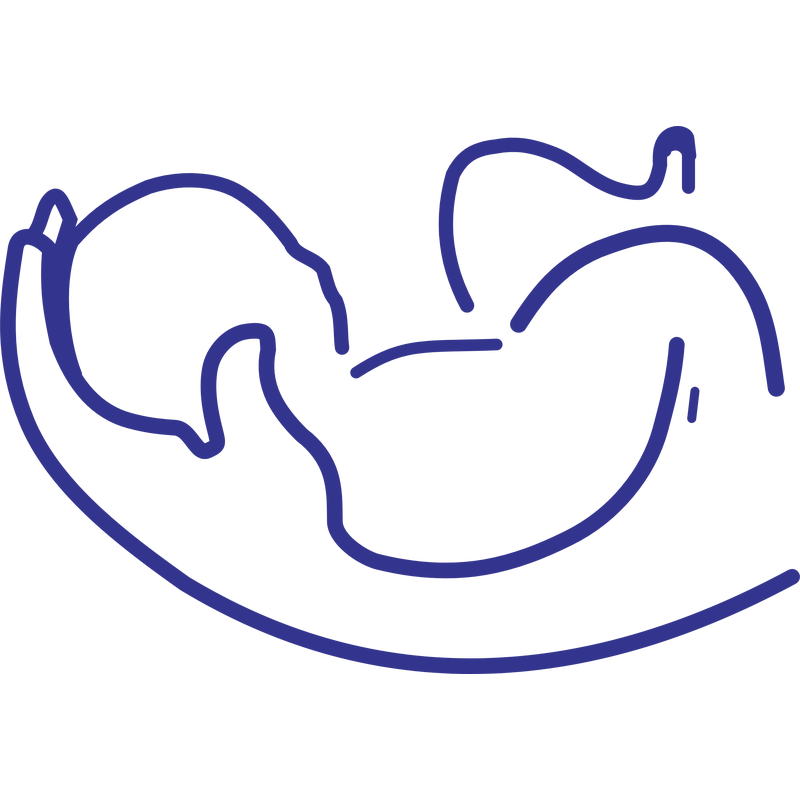 Baby Λογότυπο PNG Vector  PNG