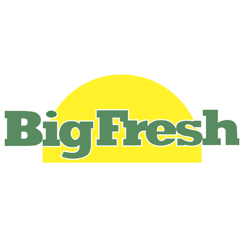 Big Fresh Logo PNG Vector  PNG
