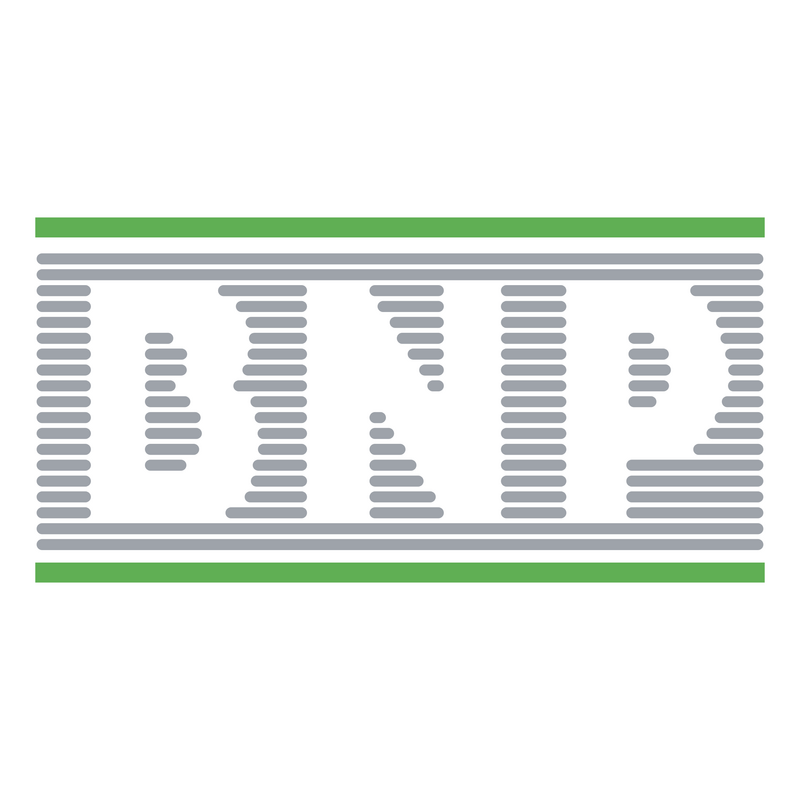 BNP 标志 PNG Vector  PNG