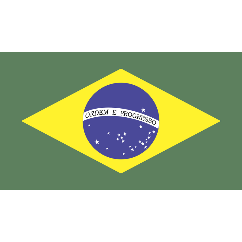 Flag of Brazil Logo PNG Vector  PNG