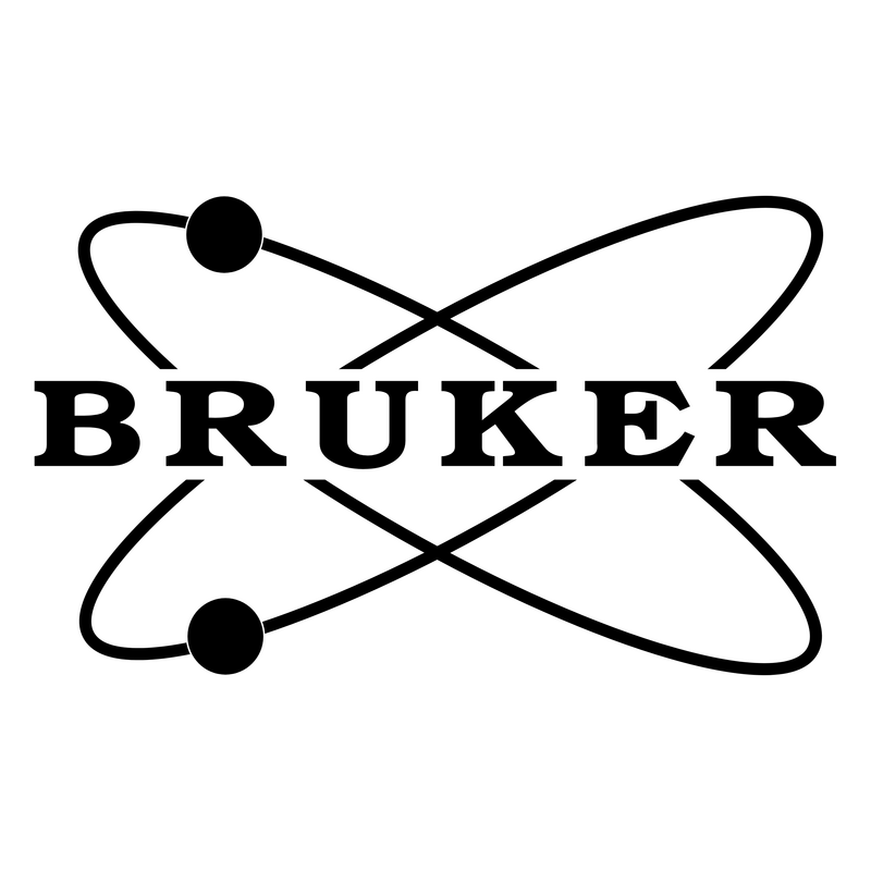 Bruker 977 Logo PNG Vector  PNG