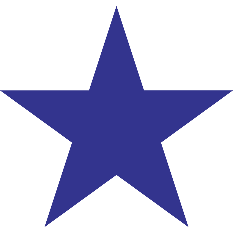 Blue Star Logo PNG Vector  PNG