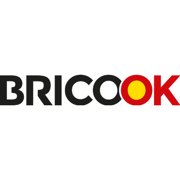Brico OK Logo svg