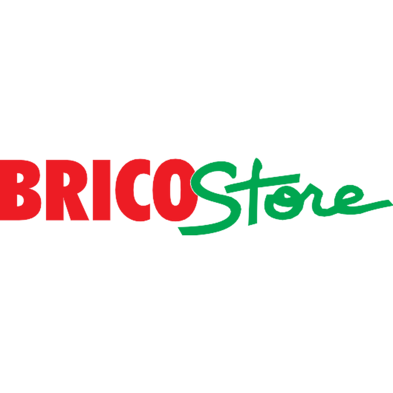 Bricostore Logo svg