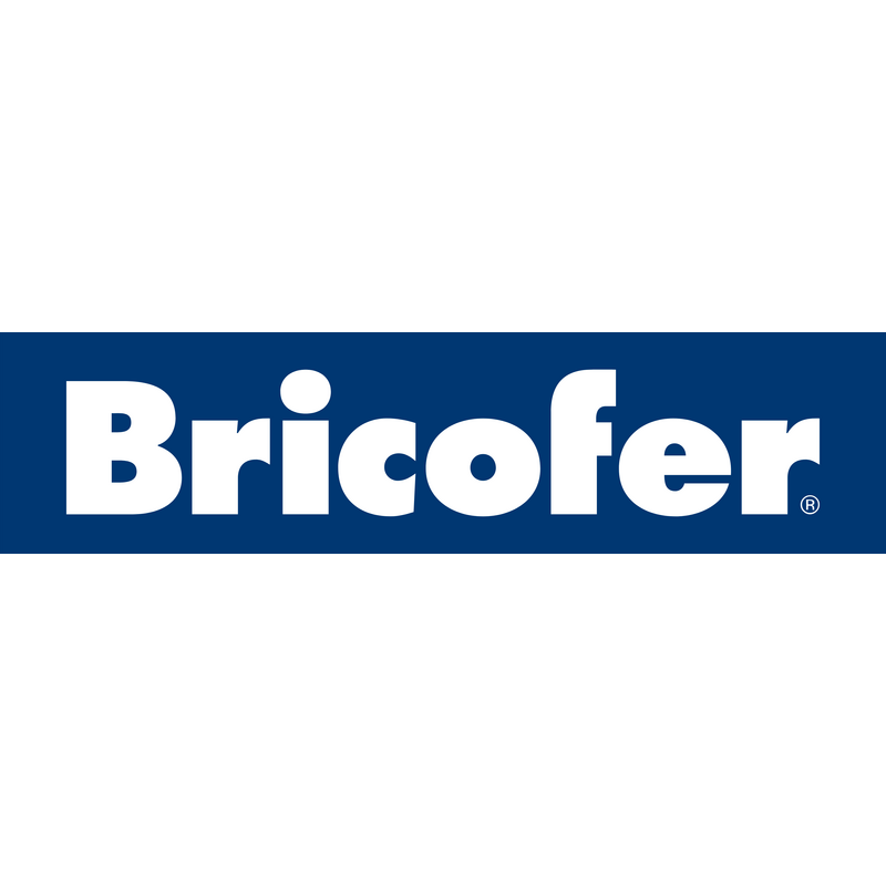 Logo Bricofer PNG Vector, Ícone