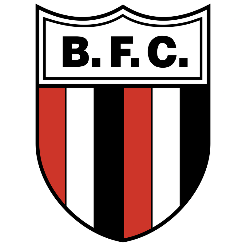 Botafogo Futebol Clube Logotyp PNG Vector  PNG