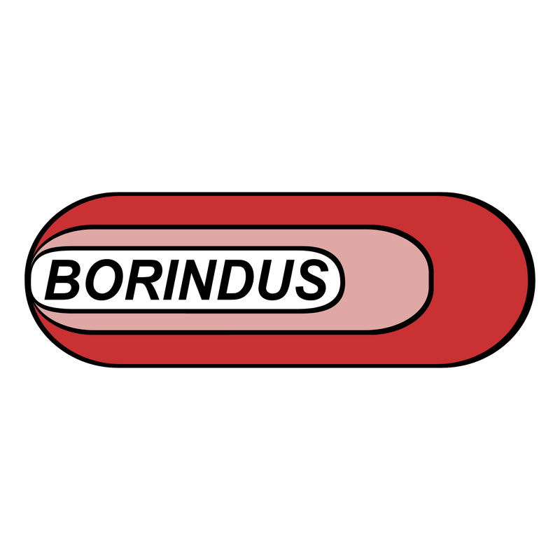 Borrachas Borindus Logo PNG Vector  PNG