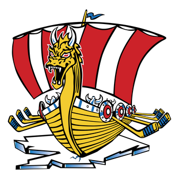 Baie Comeau Drakkar Logo PNG