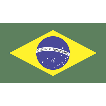 Flag of Brazil Logo PNG Transparant