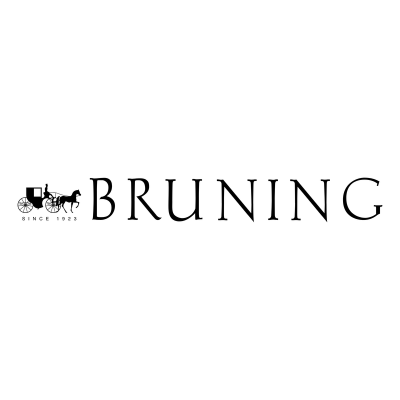 Bruninng Logo PNG Vector  PNG