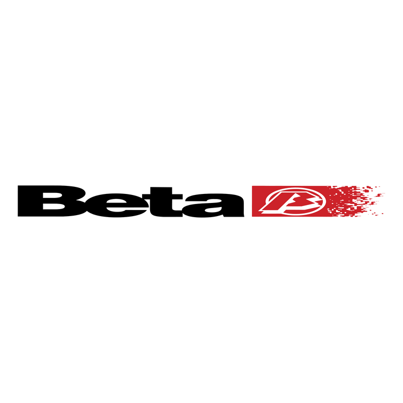 Beta Motors Logo PNG Vector  PNG